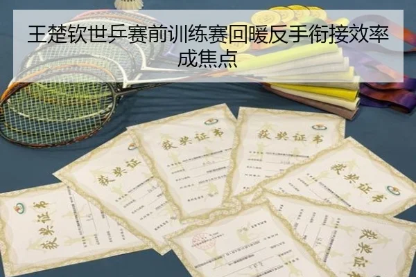 王楚钦世乒赛前训练赛回暖反手衔接效率成焦点